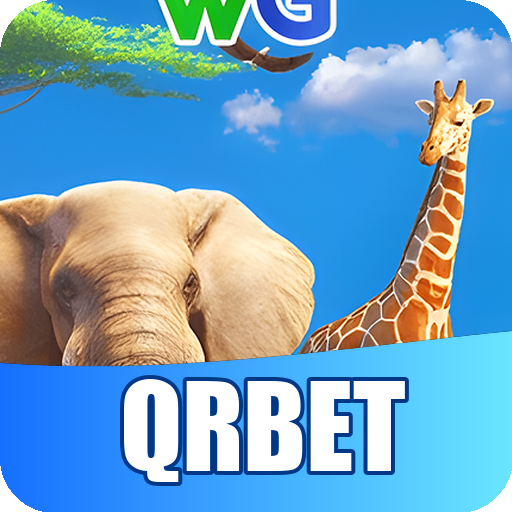 Formulário de Registro QRBET